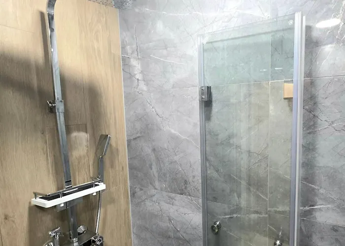 Apartment Premium Smart Mir 28